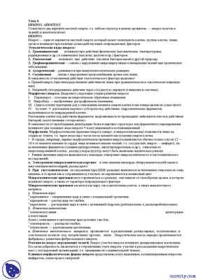 Врач Авербах объяснил, может ли болезнь вернуться к Роману Костомарову |  ProЗвезд | Дзен