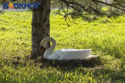 Топ фотогеничных мест в Краснодаре - Южные дела