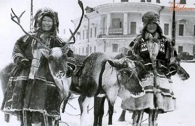 Маленькая ненка. Фотограф Андрей Снегирёв