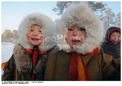 В гостях у ненцев — Фото №1352989