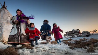 Дратути... #ямал #тундра #ненцы #янао #север #travel #yamal #nenets #nord  #people#tundra #yanao#visityamal | Instagram
