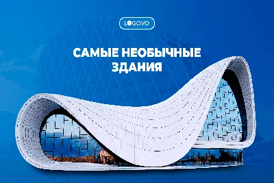 Самые необычные грибы в мире | Пикабу