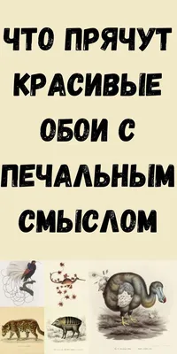 Красивые картинки со смыслом девушке для хорошего настроения (42 фото) »  Юмор, позитив и много смешных картинок