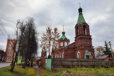 Непонятные животные большие …» — создано в Шедевруме