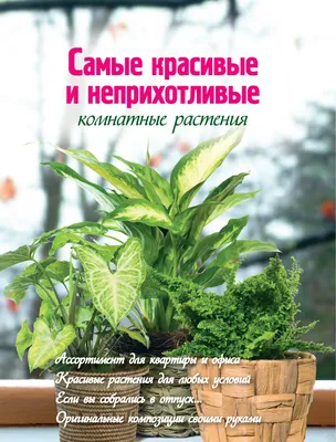 Самые красивые и неприхотливые комнатные растения, Екатерина Волкова –  скачать pdf на ЛитРес