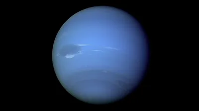 Neptun