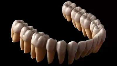 Как снизить риск травмы нерва при удалении третьего моляра - Dental Magazine