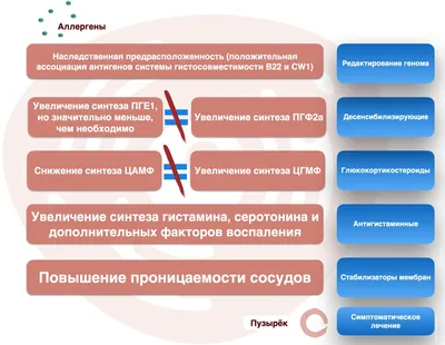 Лечение мокнущей экземы у собаки: причины, диагностика, недорогие препараты  в ветклинике Живаго