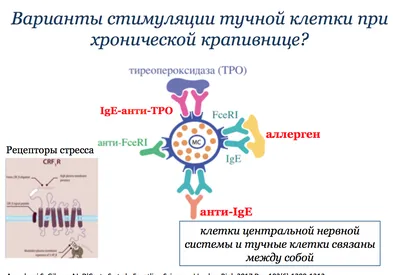 Пигментная крапивница у детей: что это такое, отзыв о лечении