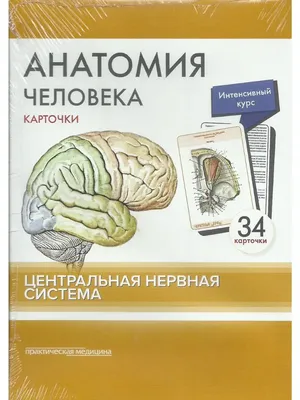 Новые знания, новые технологии, новые возможности... | Дерево жизни | Дзен