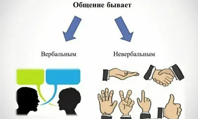 Психология. Что такое невербальное общение и как распознать эмоциональное  состояние человека | Maracan chanell | Дзен