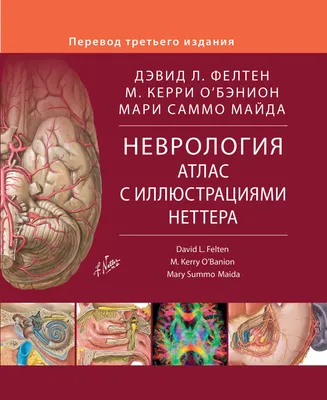 Лечение центральной и периферической нервной системы у невролога