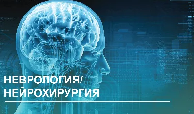 Что такое неврология? Конспект по неврологии. Введение в клиническую  неврологию. | Неврология для студентов | Дзен