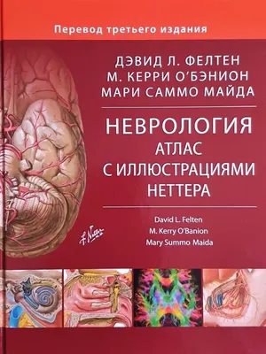 Неврология | ЧУЗ «КБ «РЖД-Медицина» им. Н.А. Семашко»