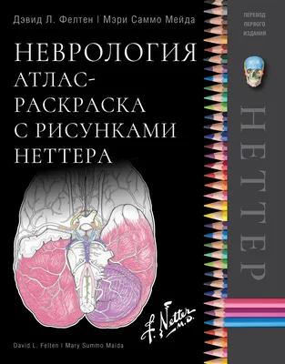 I Национальный междисциплинарный конгресс с международным участием  «Коморбидная неврология 2023» - Медицинские форумы