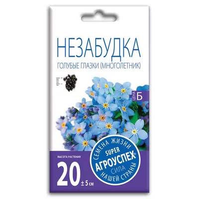 Незабудка азиатская (Myosotis asiatica) - PictureThis