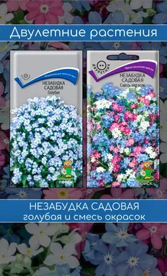 Букет с незабудками – купить с бесплатной доставкой в Москве