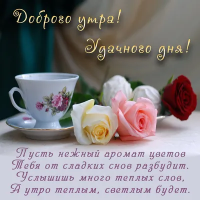 Magiya579 #пожелания #доброеутро #доброе утро новинки нежные #пожелан... |  Good Morning Videos | TikTok