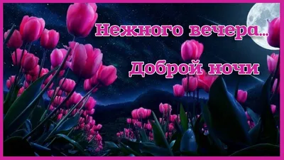 Открытки на ночь - 80 фото