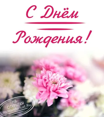 Нежные цветы, Цветы и подарки в Орле, купить по цене 4750 RUB, Авторские  букеты в FlowerIVS с доставкой | Flowwow