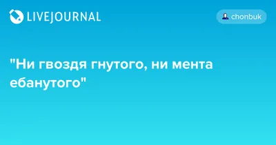 Автоигрушка на присосках \"Ни гвоздя ни жезла\", зайка, 19 см х 4 см х 21 см  - купить с доставкой по выгодным ценам в интернет-магазине OZON (635223501)