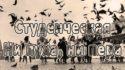 Книга Ни пуха, Ни пера! - купить дома и досуга в интернет-магазинах, цены  на Мегамаркет | 166168