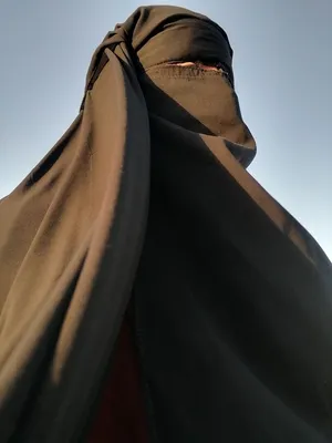 Девушка в чёрном хиджабе и никабе» — создано в Шедевруме