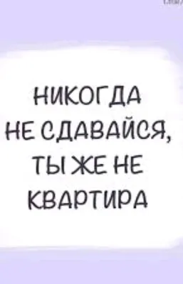 Фильм «Никогда не сдавайся» / Never Back Down (2008) — трейлеры, дата  выхода | КГ-Портал