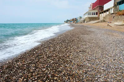 Десять пляжей в Николаевке признали опасными для отдыхающих – Новости Крыма  – Вести Крым