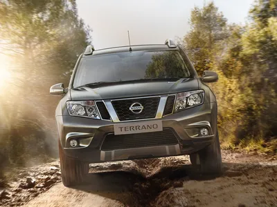 Отличный авто для поездок на дачу. - Отзыв владельца автомобиля Nissan  Terrano 2019 года ( III (D10) ): 2.0 AT (143 л.с.) 4WD | Авто.ру