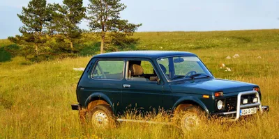 Лада Нива Легенд (LADA Niva legend) - Продажа, Цены, Отзывы, Фото: 1681  объявление