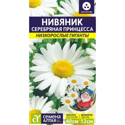 Нивяник наибольшой \"Daisy Crazy\" купить по цене 620 рублей от питомника  саженцев и растений Центросад | Фото и консультация по уходу