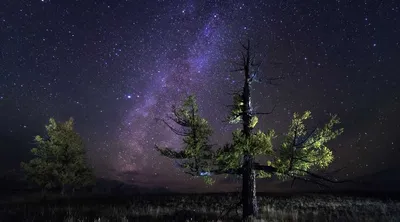 Чистое ночное небо (29 фото) - 29 фото