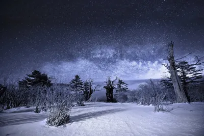 Ночное небо\" Ночное звездное небо…» — создано в Шедевруме