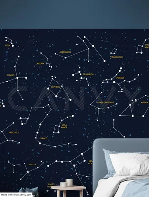 Фотообои Ночное небо со звездами на стену. Купить фотообои Ночное небо со  звездами в интернет-магазине WallArt