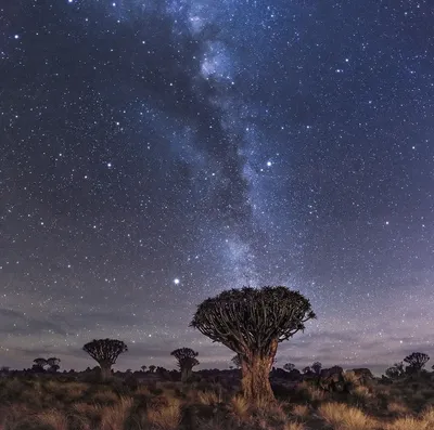градиент Ночное небо как предпосылка Стоковое Изображение - изображение  насчитывающей природа, никто: 45667427
