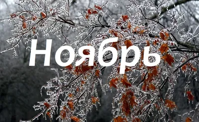 Ноябрь – сумерки года