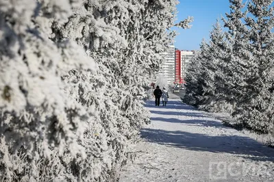 Синоптики рассказали о погоде на ноябрь в Забайкалье