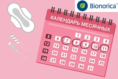 Норма цикла месячных: как считается и как правильно определить цикл месячных ?