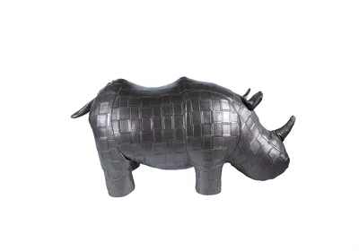 Носорог фото