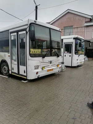 Самостоятельная поездка из Благовещенской в Новороссийск