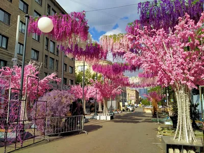 Новосибирск для туриста: самое важное в городе (места, мосты, метро и море)