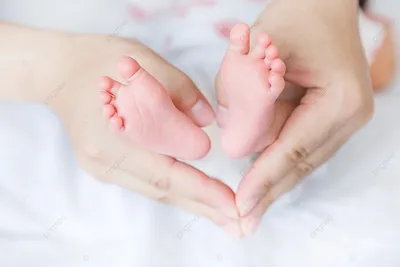 Foto Stock mom's hands holding the legs of a newborn baby руки мамы держат ножки  новорожденного ребенка | Adobe Stock