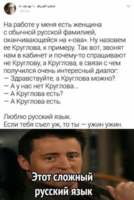 Лучше рекламы: 10+ смешных отзывов, которые сделают ваш день