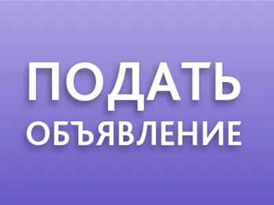 Очень смешные объявления в туалетах и подъездах | Пикабу