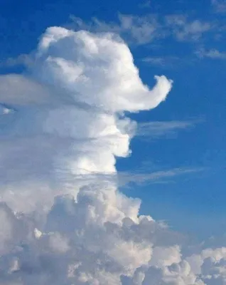 Изображение Голубое небо с облаками Разное Разное Разное