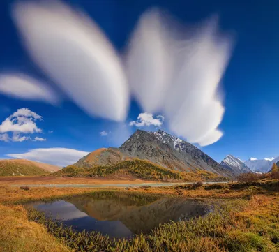 Перламутровые облака в Антарктиде: украинские ученые показали фото
