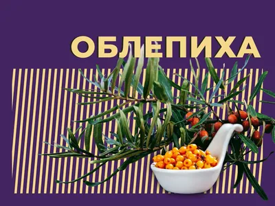 Облепиха замороженная 2 kg – Produktu piegāde