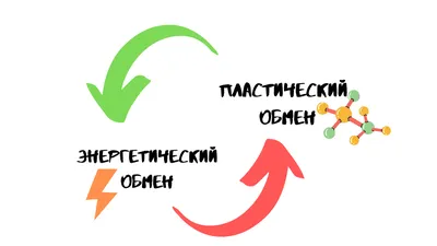 5. Обмен информацией | СМК для чайников | Дзен