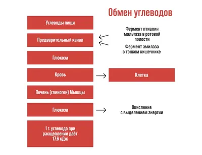 Обмен фото